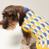 Donald Blue & Yellow Dog Sweater