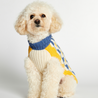 Donald Blue & Yellow Dog Sweater