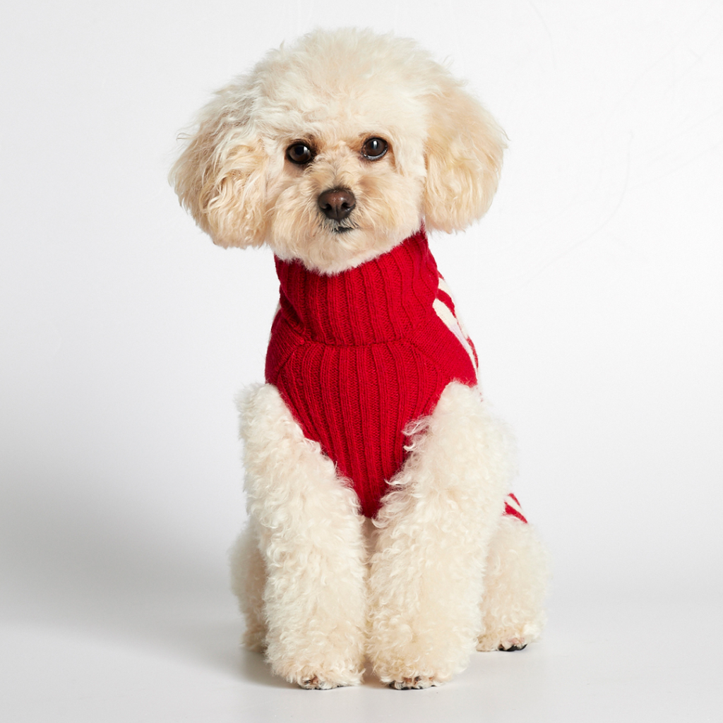 Donald Red & Pink Dog Sweater | Re-leaf