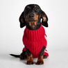 Donald Red & Pink Dog Sweater