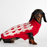 Donald Red & Pink Dog Sweater