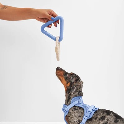 Triangle Tug Dog Toy