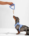 Triangle Tug Dog Toy