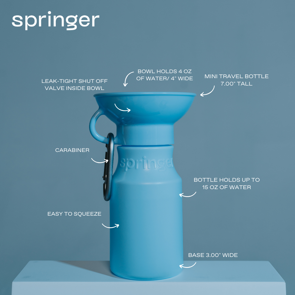 MINI TRAVEL WATER BOTTLE by Springer