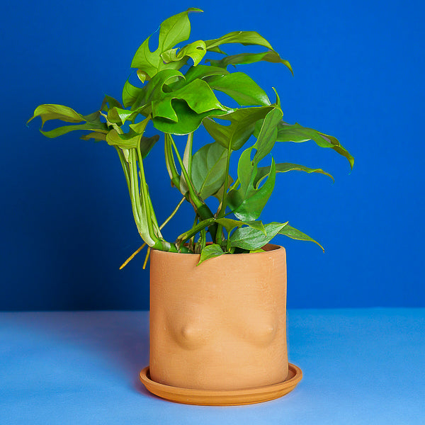 Terracotta Boob Plant Pot