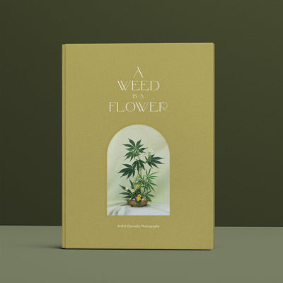 A weed is a flower - the weed book by Broccoli - Re - leaf