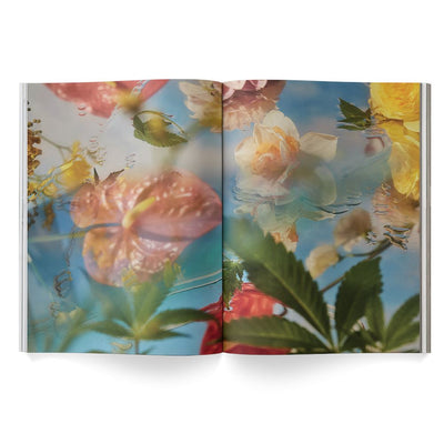 A weed is a flower - the weed book by Broccoli - Re - leaf