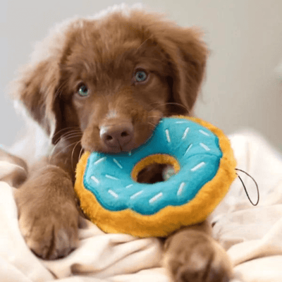 Blueberry Donut Dog Toy - Re - leaf