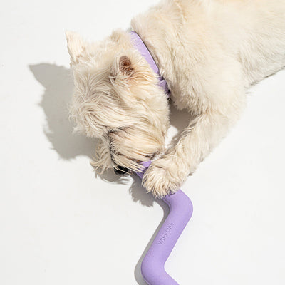 Bolt Bite Dog Toy - Re - leaf