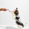 Bolt Bite Dog Toy - Re - leaf