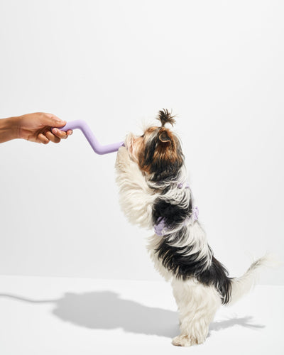 Bolt Bite Dog Toy - Re - leaf