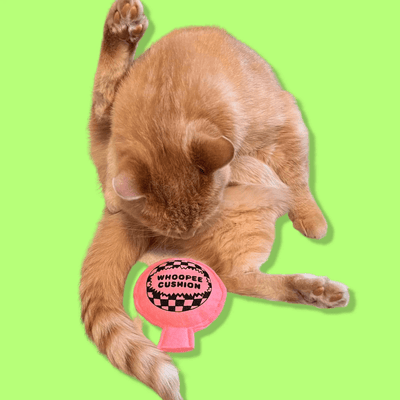 Catnip Whoopee Cushion - Re - leaf