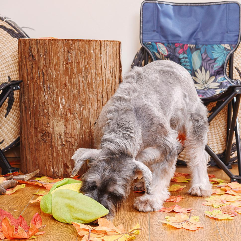 Corn Dog Toy - Re - leaf