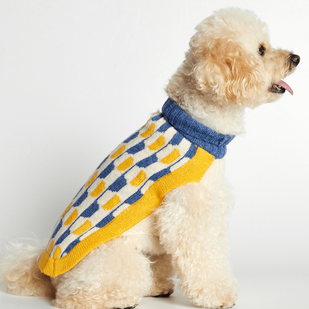 Donald Blue & Yellow Dog Sweater - Re - leaf