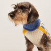 Donald Blue & Yellow Dog Sweater - Re - leaf
