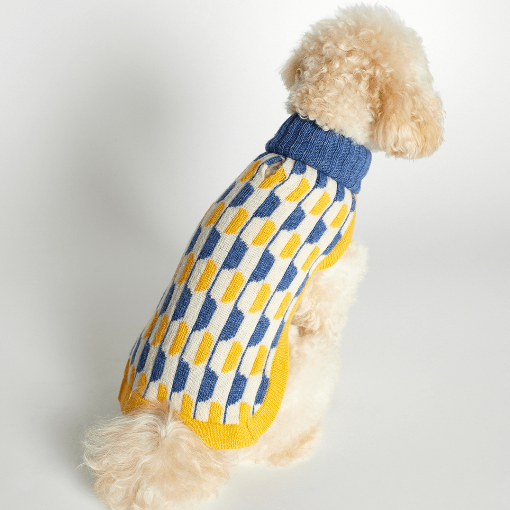Donald Blue & Yellow Dog Sweater - Re - leaf