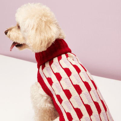 Donald Red & Pink Dog Sweater - Re - leaf