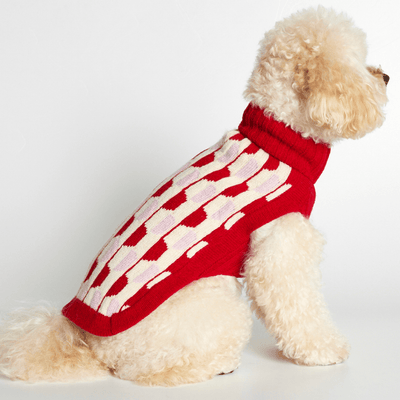 Donald Red & Pink Dog Sweater - Re - leaf