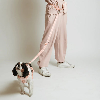 GO! With Ease Hands Free Dog Leash Peach - Re - leaf