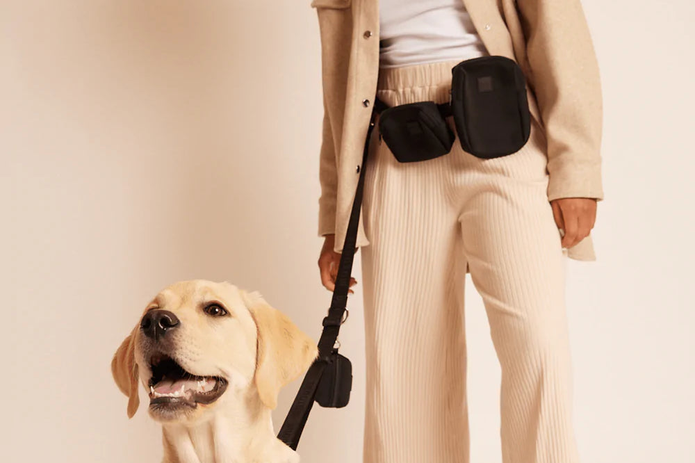 GO! With Ease Hands Free Dog Leash Black - Re-leaf