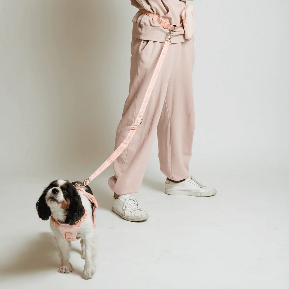GO! With Ease Hands Free Dog Leash Peach - Re-leaf