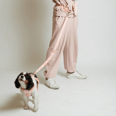 GO! With Ease Hands Free Dog Leash Peach - Re-leaf