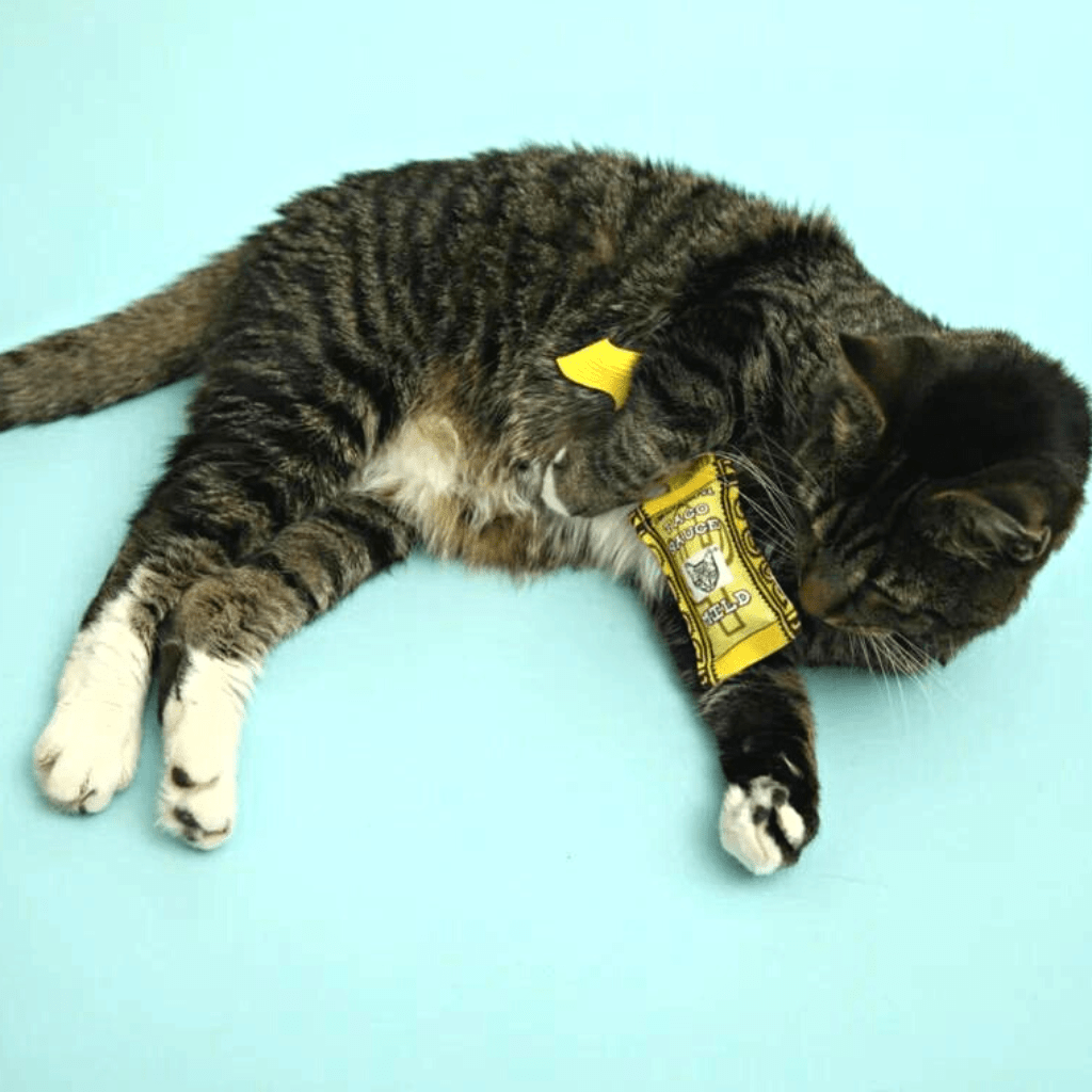 Mild Taco Sauce Cat Toy - Re - leaf