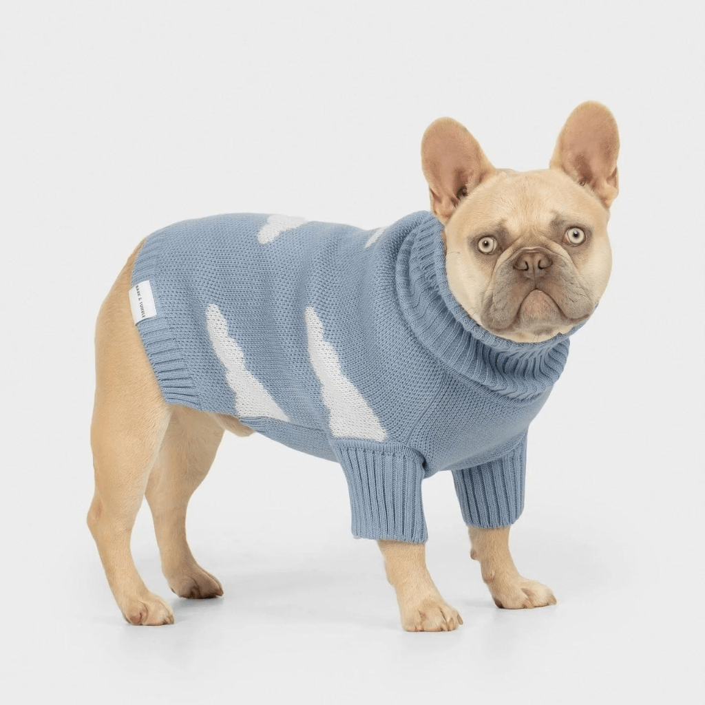Never Stop Dreaming Dog Knit Jumper Baby Blue - Re - leaf