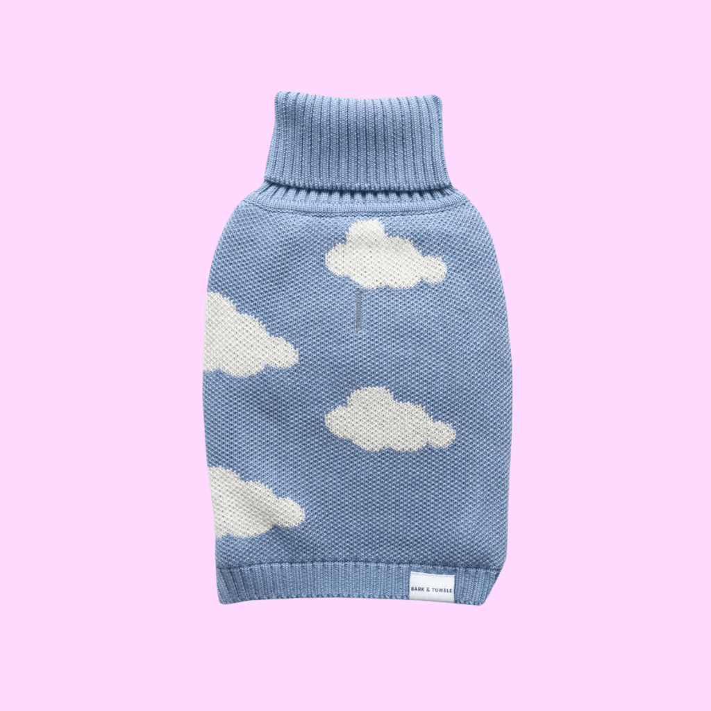 Never Stop Dreaming Dog Knit Jumper Baby Blue - Re - leaf