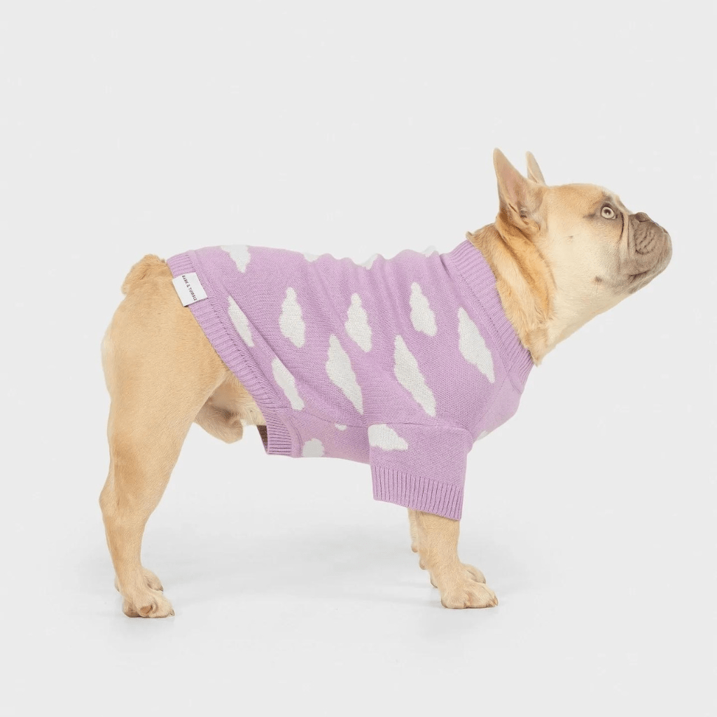 Never Stop Dreaming Dog Knit Jumper Lilac - Re - leaf