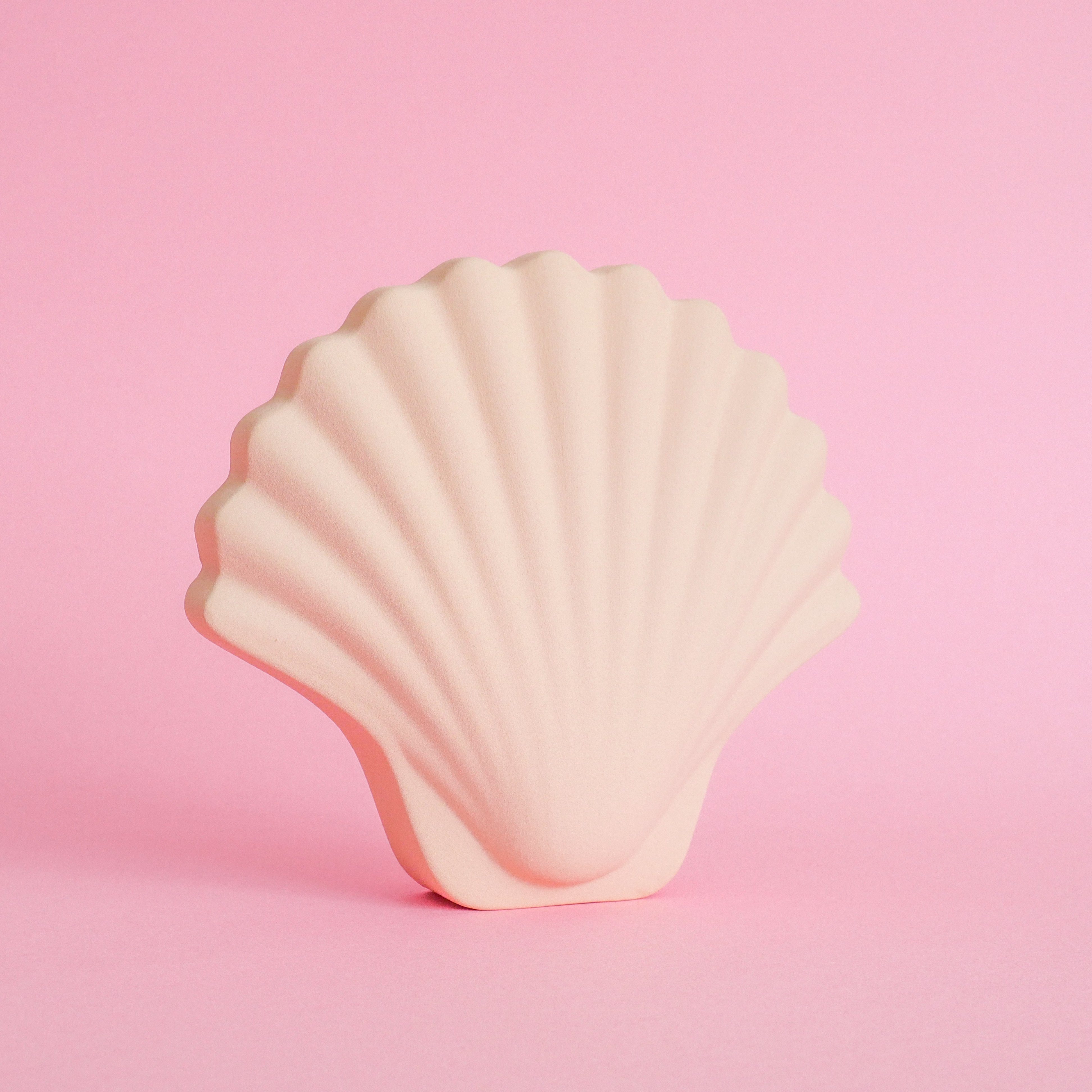 Seashell Vase - Ecru - Re-leaf