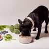 Signature dog Collar Peach - Re - leaf