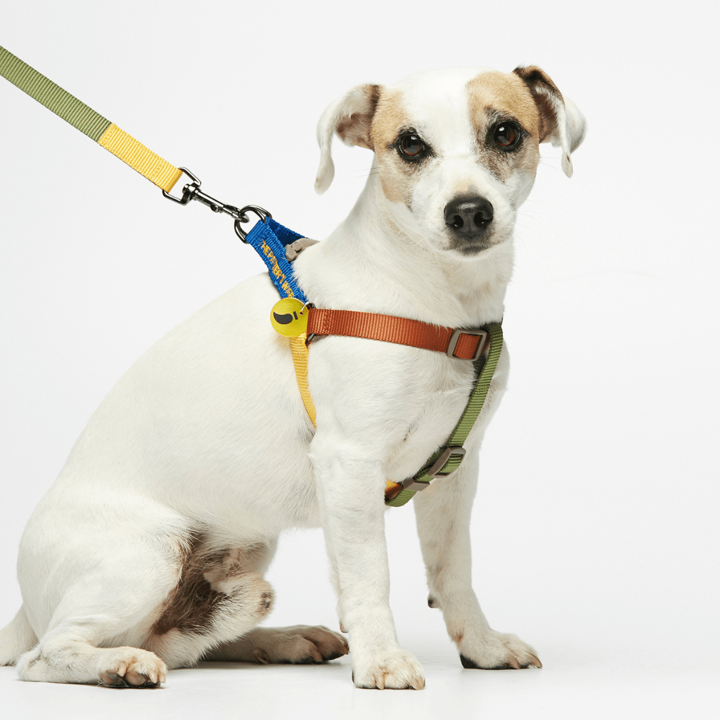 Sonia Dog Harness Mimosa and Moss - Re - leaf