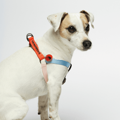 Sonia Dog Harness Vermillion and Cherry - Re - leaf