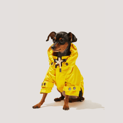 Talon Dog Raincoat - Re - leaf