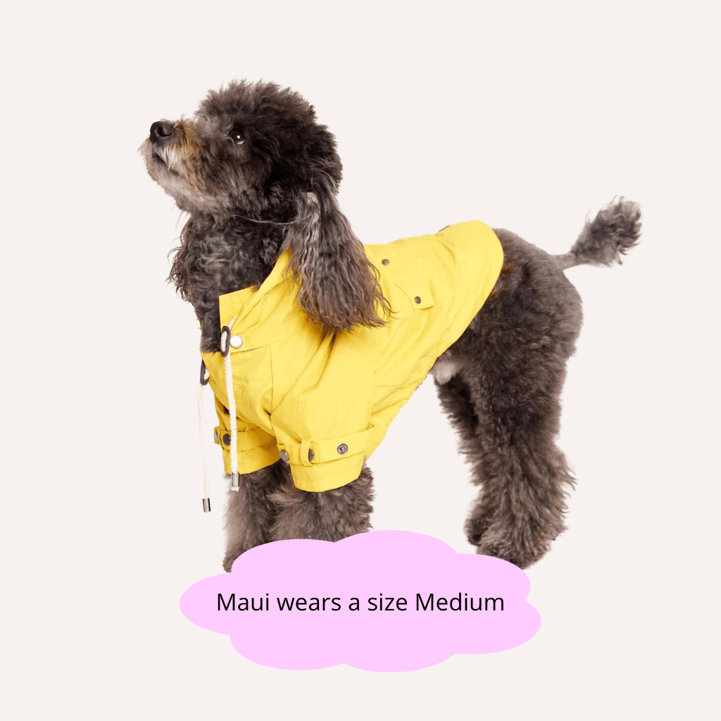 Talon Dog Raincoat - Re - leaf
