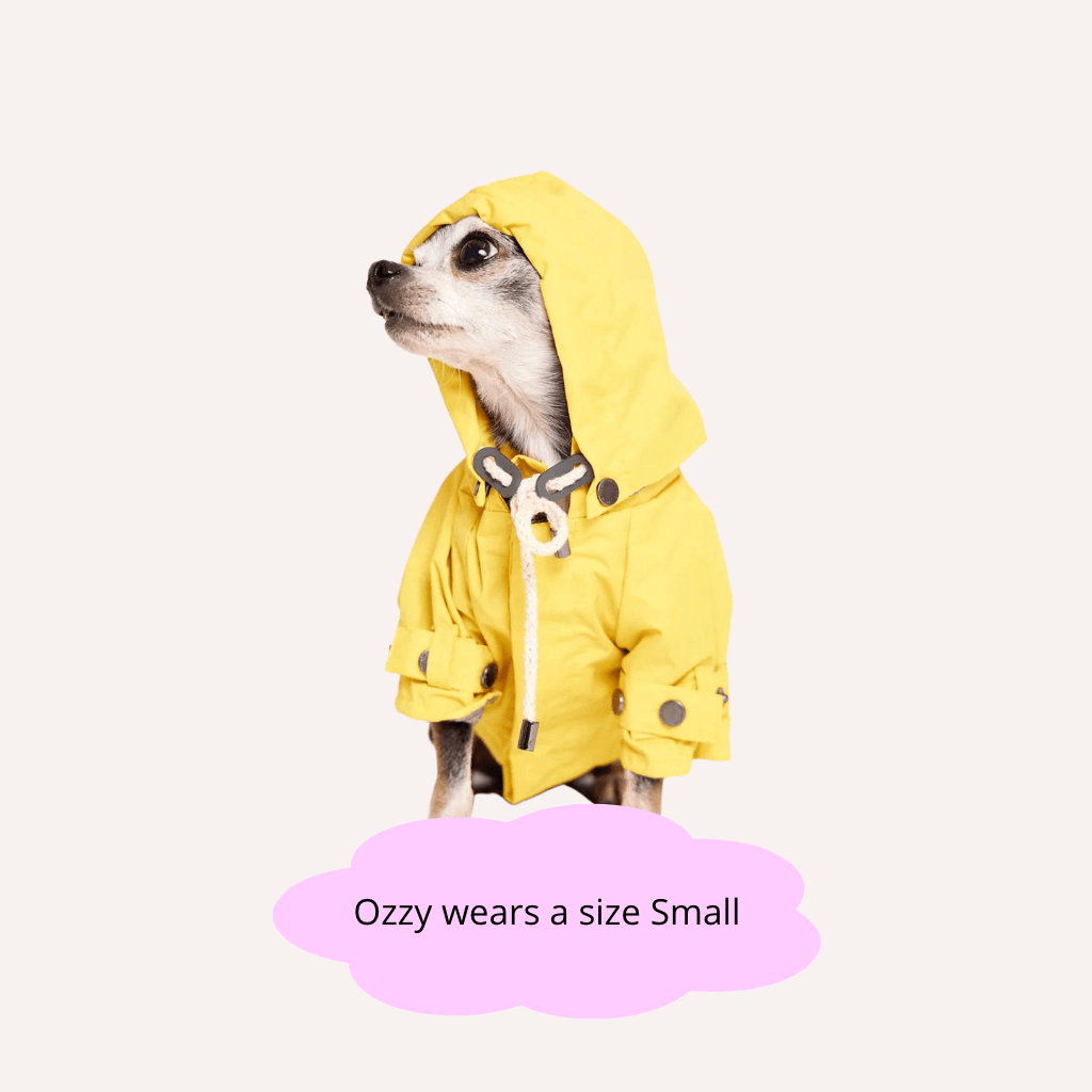 Talon Dog Raincoat - Re - leaf