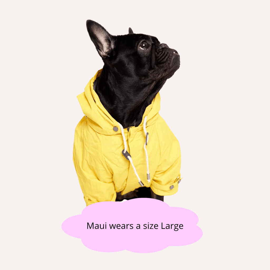 Talon Dog Raincoat - Re - leaf