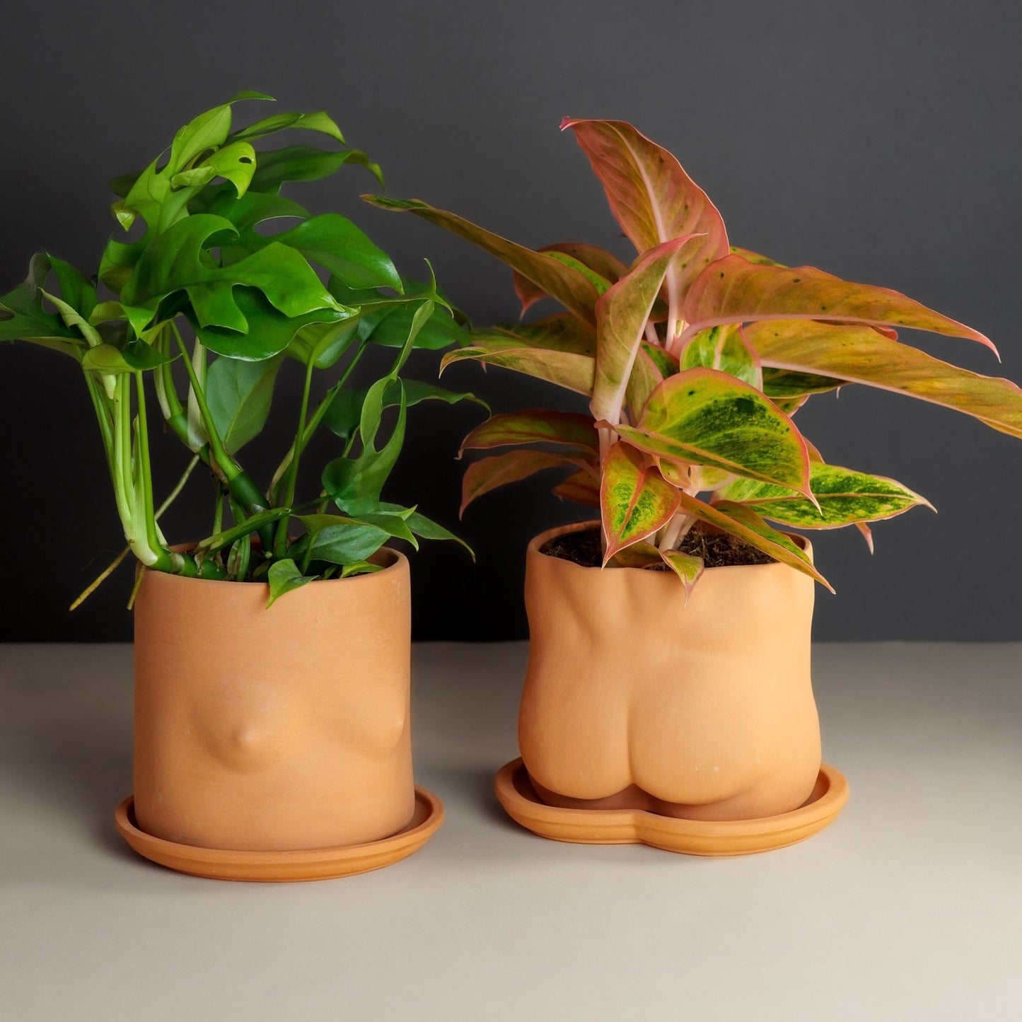 Terracotta Boob Plant Pot - Re - leaf