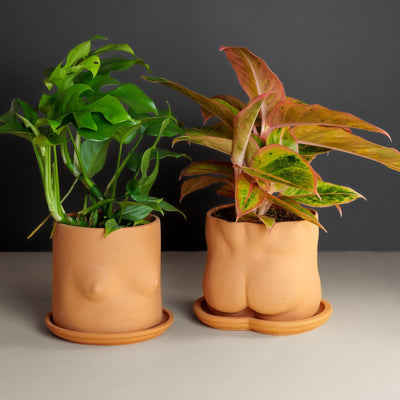 Terracotta Boob Plant Pot - Re - leaf