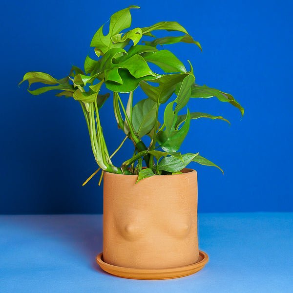 Terracotta Boob Plant Pot - Re - leaf
