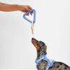 Triangle Tug Dog Toy - Re - leaf