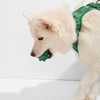 Twist Toss Dog Toy - Re - leaf