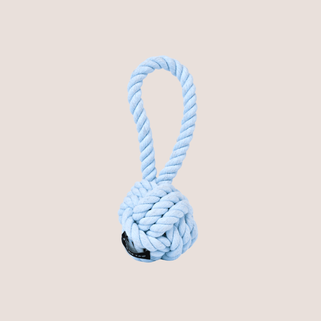 Twisted Rope Dog Toy Blue - Re - leaf